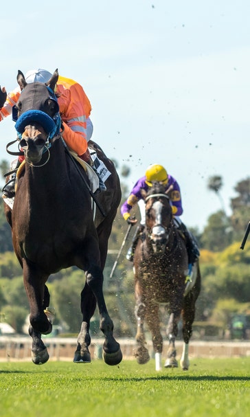 23rd horse dies at Santa Anita after racing accident